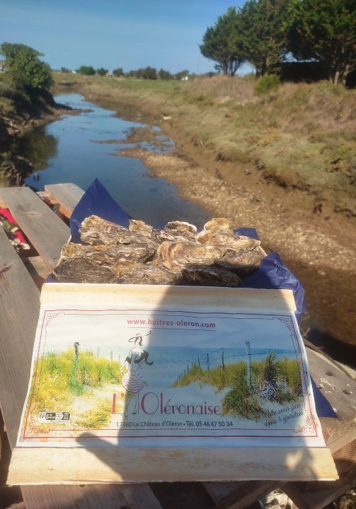 Caractéristiques des huîtres L'Oléronaise