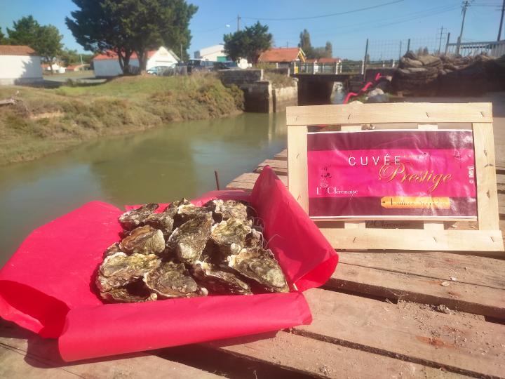 Caractéristiques des huîtres L'Oléronaise