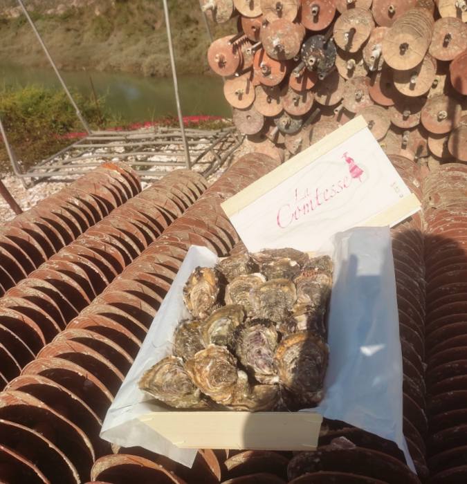 Caractéristiques des huîtres L'Oléronaise